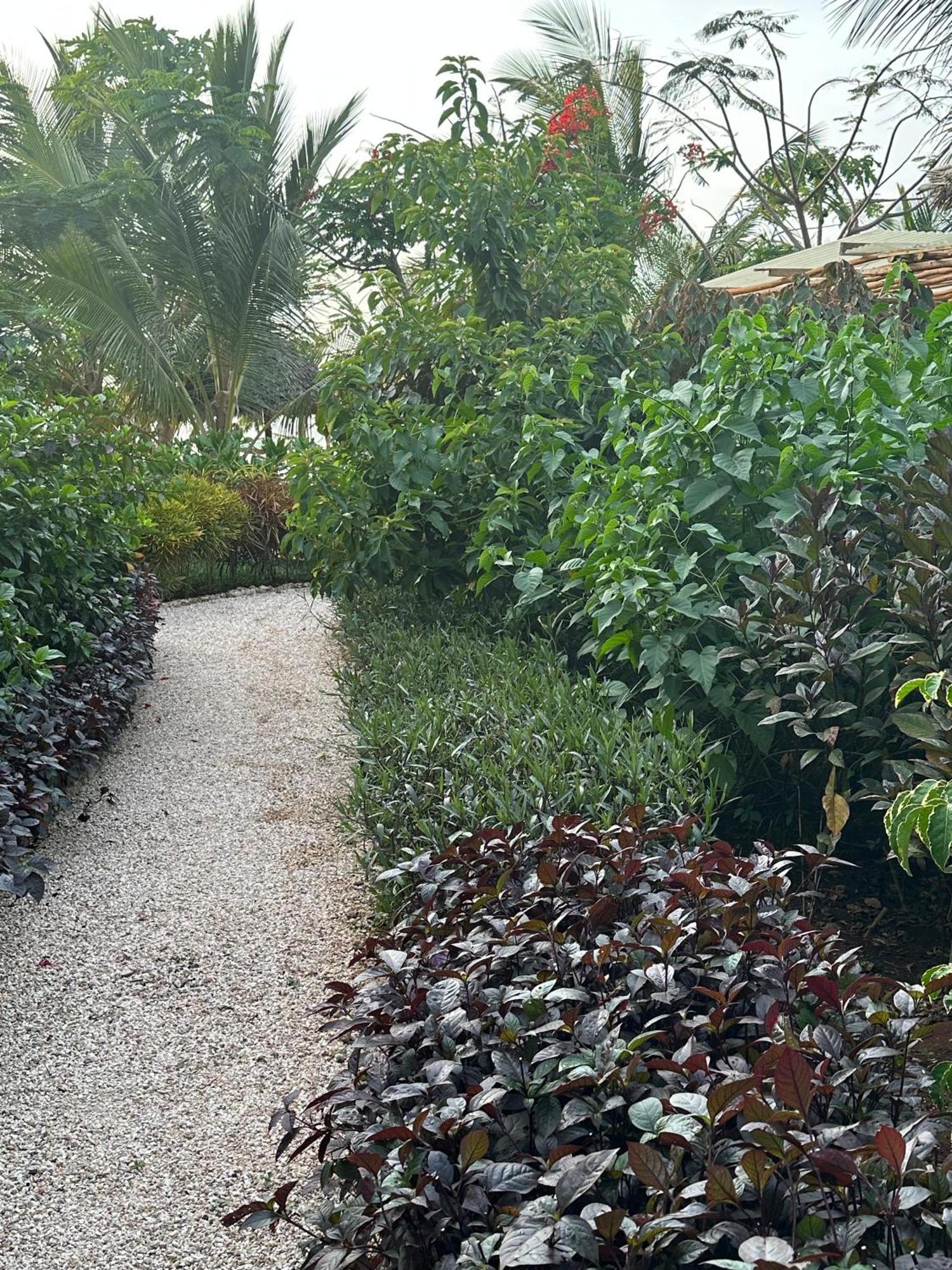 Kidoti Bay Hotel ภายนอก รูปภาพ